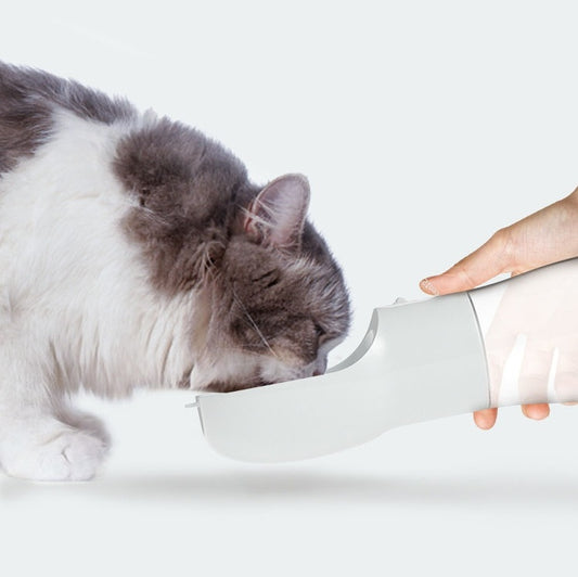 Portable Dog Water Dispenser – Travel-Friendly Pet Bottle