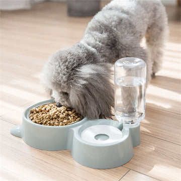 Durable Dog Bowl – Non-Slip Pet Food & Water Dish