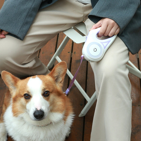 Retractable Dog Leash & Collar – Automatic Traction Rope for Small & Medium Dogs